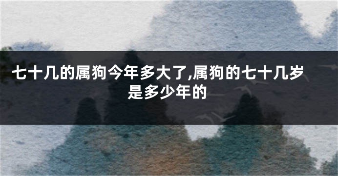 七十几的属狗今年多大了,属狗的七十几岁是多少年的