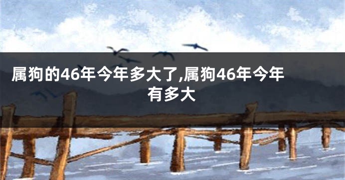 属狗的46年今年多大了,属狗46年今年有多大