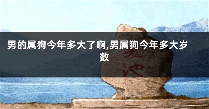 男的属狗今年多大了啊,男属狗今年多大岁数