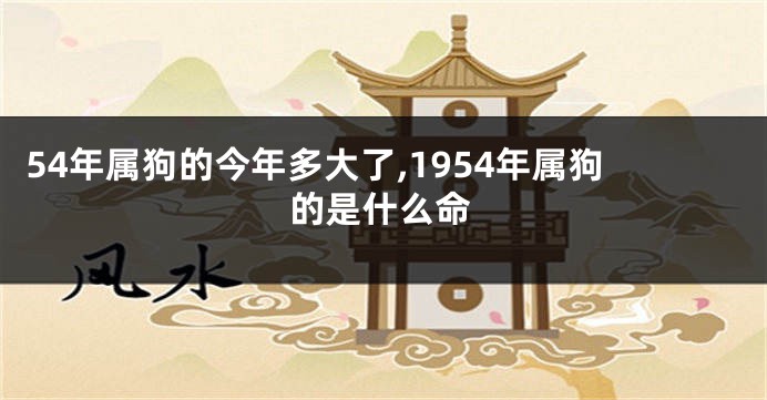 54年属狗的今年多大了,1954年属狗的是什么命