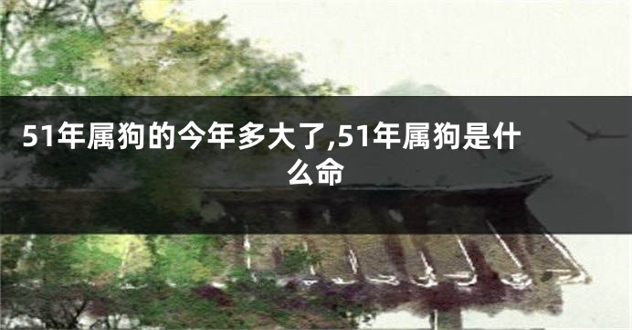 51年属狗的今年多大了,51年属狗是什么命