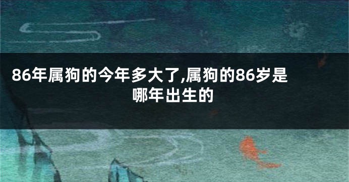 86年属狗的今年多大了,属狗的86岁是哪年出生的