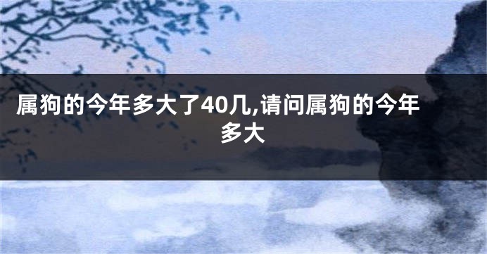 属狗的今年多大了40几,请问属狗的今年多大