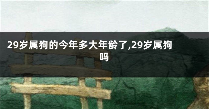 29岁属狗的今年多大年龄了,29岁属狗吗