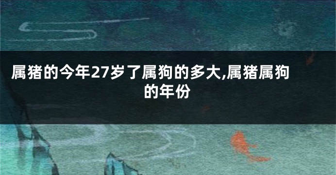 属猪的今年27岁了属狗的多大,属猪属狗的年份