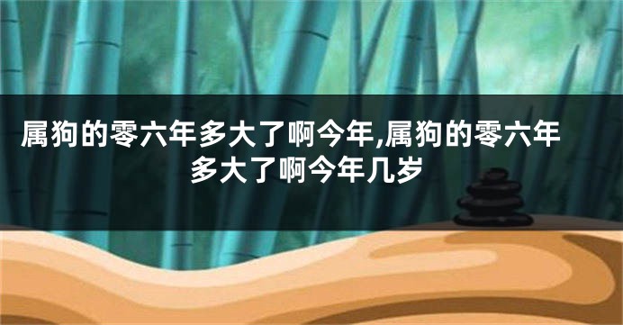 属狗的零六年多大了啊今年,属狗的零六年多大了啊今年几岁