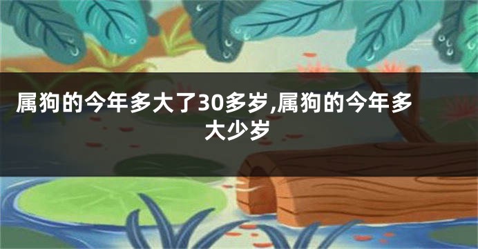 属狗的今年多大了30多岁,属狗的今年多大少岁