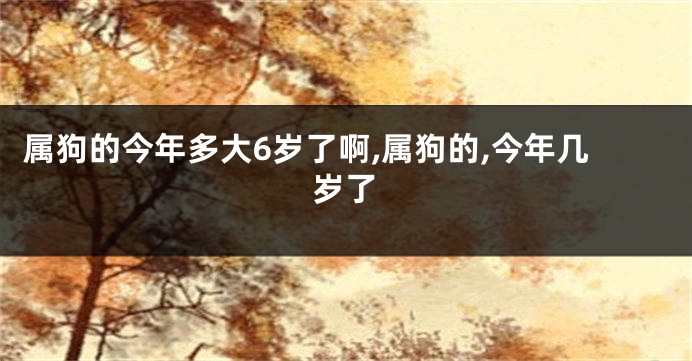 属狗的今年多大6岁了啊,属狗的,今年几岁了