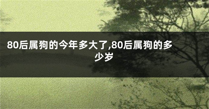 80后属狗的今年多大了,80后属狗的多少岁