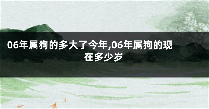 06年属狗的多大了今年,06年属狗的现在多少岁