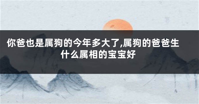 你爸也是属狗的今年多大了,属狗的爸爸生什么属相的宝宝好