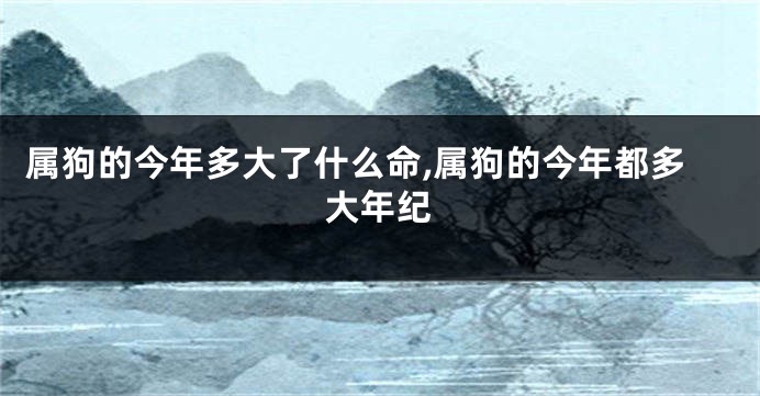 属狗的今年多大了什么命,属狗的今年都多大年纪