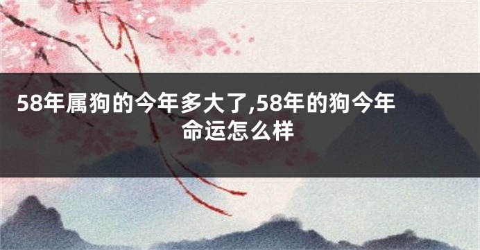 58年属狗的今年多大了,58年的狗今年命运怎么样