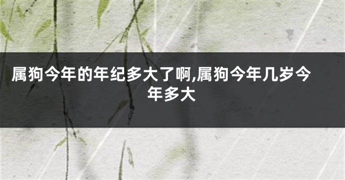 属狗今年的年纪多大了啊,属狗今年几岁今年多大