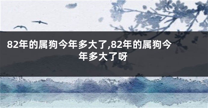 82年的属狗今年多大了,82年的属狗今年多大了呀