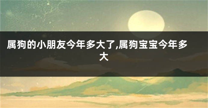 属狗的小朋友今年多大了,属狗宝宝今年多大