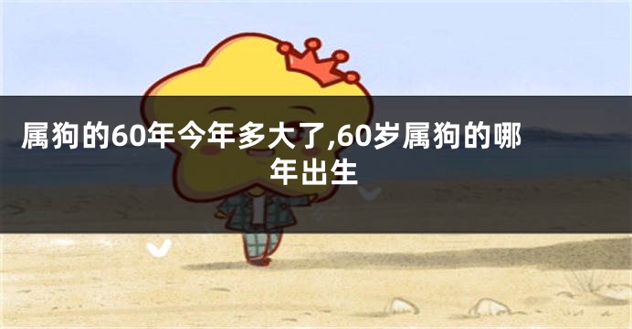 属狗的60年今年多大了,60岁属狗的哪年出生