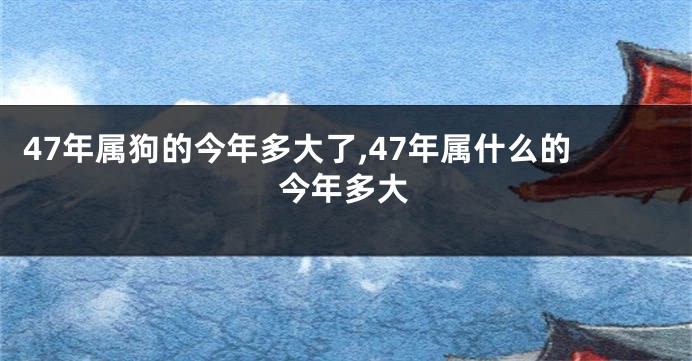 47年属狗的今年多大了,47年属什么的今年多大