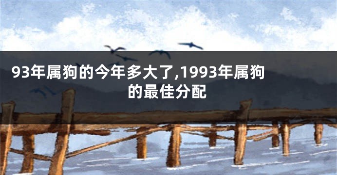 93年属狗的今年多大了,1993年属狗的最佳分配