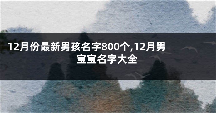 12月份最新男孩名字800个,12月男宝宝名字大全