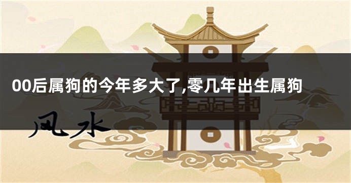 00后属狗的今年多大了,零几年出生属狗