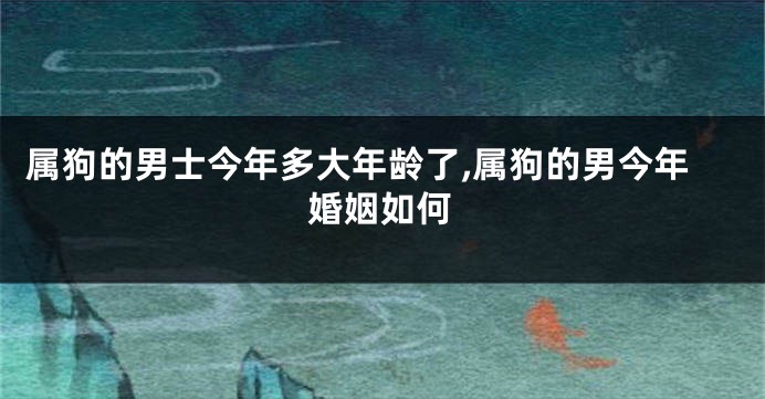 属狗的男士今年多大年龄了,属狗的男今年婚姻如何