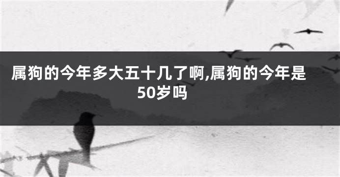 属狗的今年多大五十几了啊,属狗的今年是50岁吗