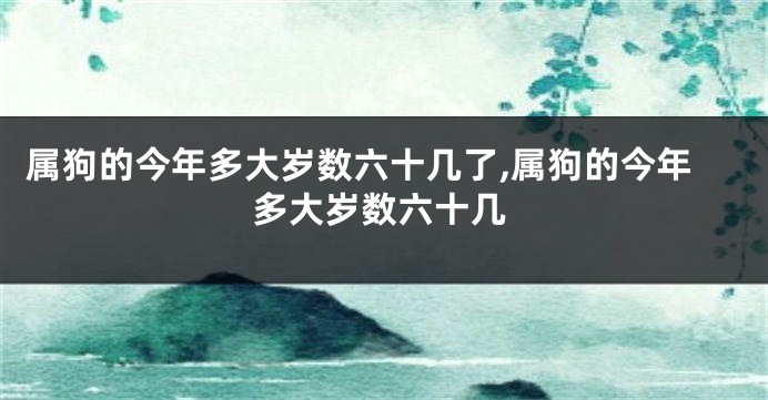 属狗的今年多大岁数六十几了,属狗的今年多大岁数六十几