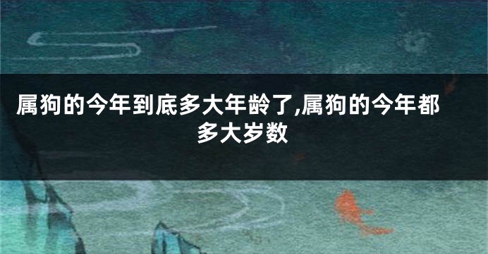 属狗的今年到底多大年龄了,属狗的今年都多大岁数