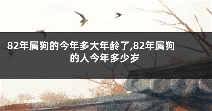 82年属狗的今年多大年龄了,82年属狗的人今年多少岁