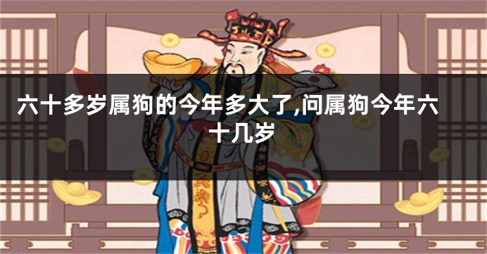 六十多岁属狗的今年多大了,问属狗今年六十几岁