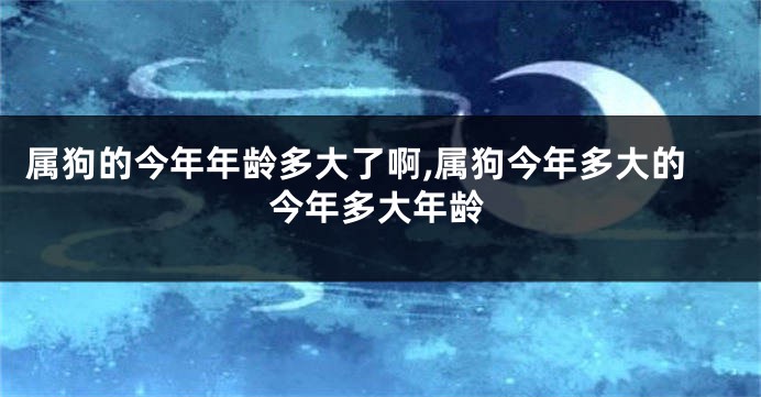 属狗的今年年龄多大了啊,属狗今年多大的今年多大年龄