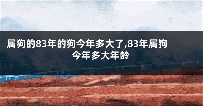 属狗的83年的狗今年多大了,83年属狗今年多大年龄