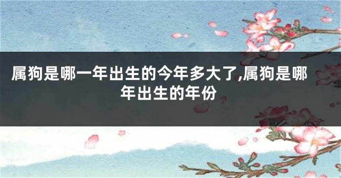 属狗是哪一年出生的今年多大了,属狗是哪年出生的年份