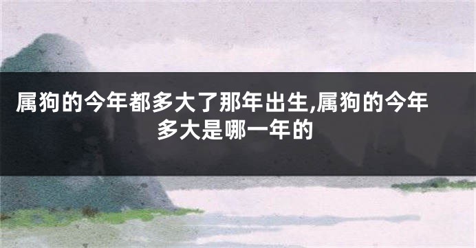 属狗的今年都多大了那年出生,属狗的今年多大是哪一年的