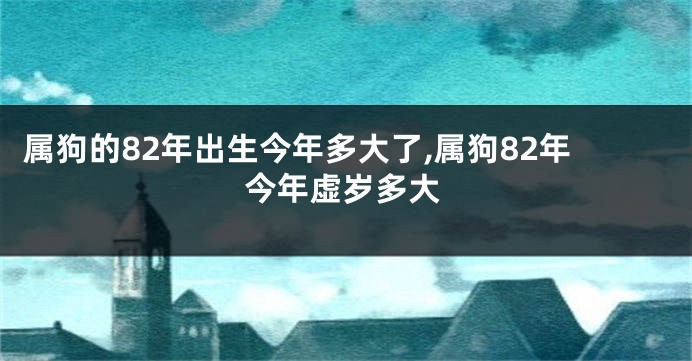 属狗的82年出生今年多大了,属狗82年今年虚岁多大