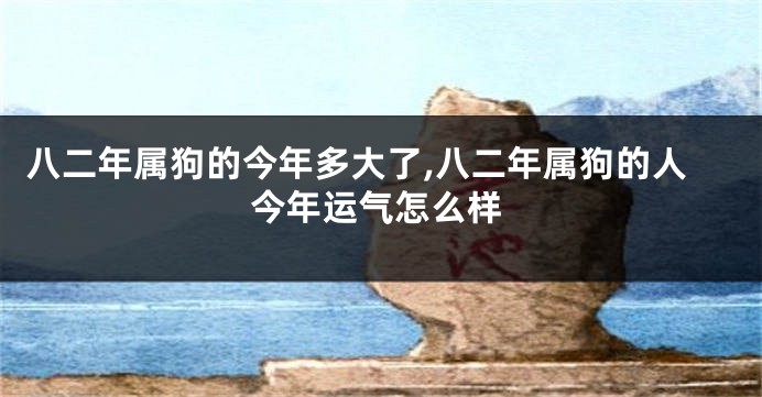 八二年属狗的今年多大了,八二年属狗的人今年运气怎么样