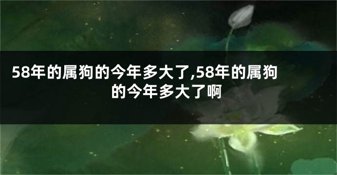 58年的属狗的今年多大了,58年的属狗的今年多大了啊