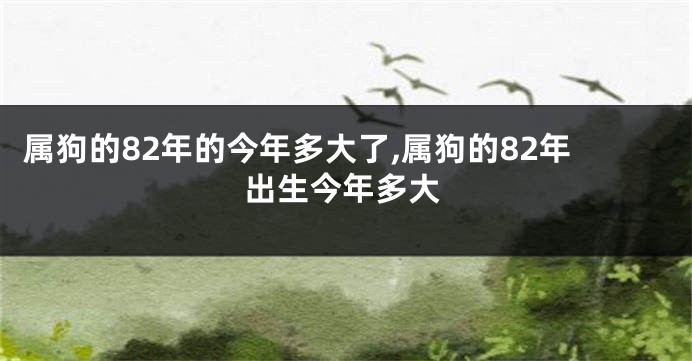 属狗的82年的今年多大了,属狗的82年出生今年多大