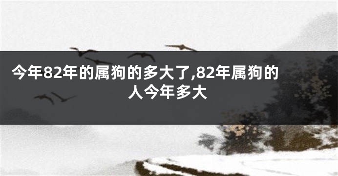 今年82年的属狗的多大了,82年属狗的人今年多大