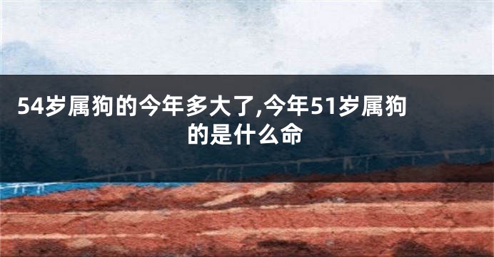 54岁属狗的今年多大了,今年51岁属狗的是什么命