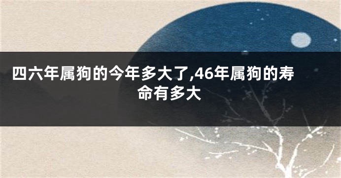 四六年属狗的今年多大了,46年属狗的寿命有多大