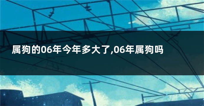 属狗的06年今年多大了,06年属狗吗