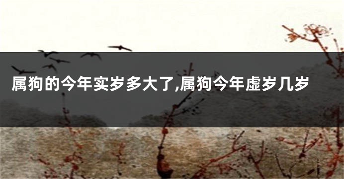 属狗的今年实岁多大了,属狗今年虚岁几岁