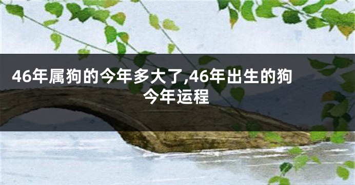 46年属狗的今年多大了,46年出生的狗今年运程