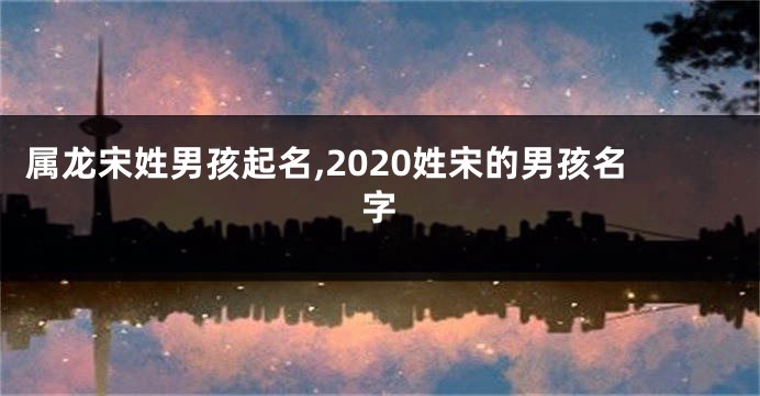 属龙宋姓男孩起名,2020姓宋的男孩名字