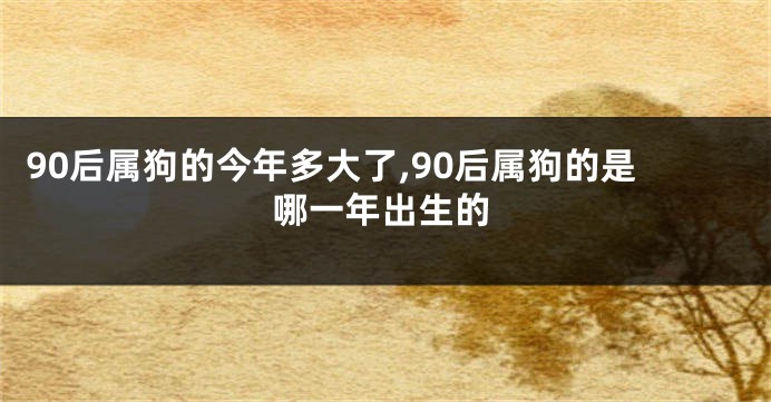 90后属狗的今年多大了,90后属狗的是哪一年出生的