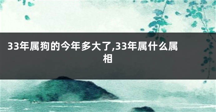 33年属狗的今年多大了,33年属什么属相