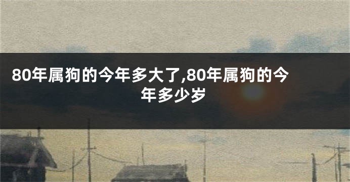 80年属狗的今年多大了,80年属狗的今年多少岁