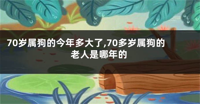 70岁属狗的今年多大了,70多岁属狗的老人是哪年的